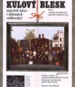 电光火石 Kulový blesk            (1979)