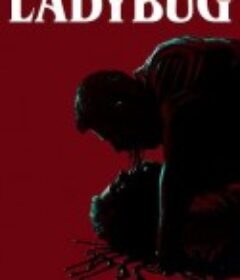 艳鬼红瓢 Ladybug            (2024)