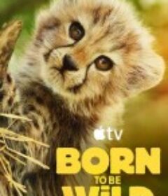 生而狂野 Born To Be Wild            (2025)