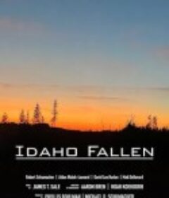 爱达荷陷落 Idaho Fallen            (2024)