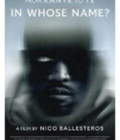 以谁之名？ In Whose Name?            (2025)