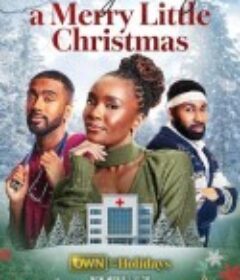 假装自己过了一个快乐的小圣诞节 Fake Yourself a Merry Little Christmas            (2025)