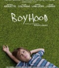 少年时代 Boyhood            (2014)