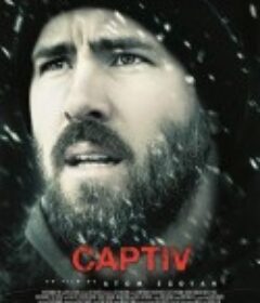 人质 The Captive            (2014)