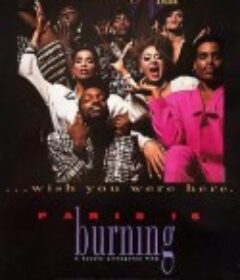 巴黎在燃烧 Paris Is Burning            (1990)