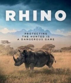 犀牛 RHINO            (2025)