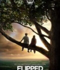 怦然心动 Flipped            (2010)