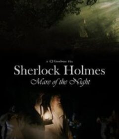 福尔摩斯：夜魇 Sherlock Holmes: Mare of the Night            (2025)