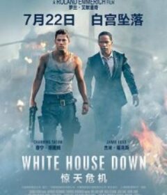 惊天危机 White House Down            (2013)