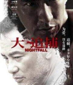 大追捕            (2012)