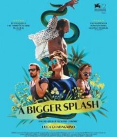 假日惊情 A Bigger Splash            (2015)