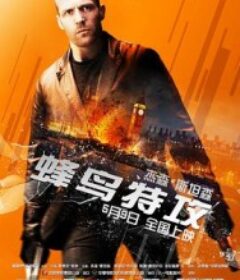 蜂鸟特攻 Hummingbird            (2013)