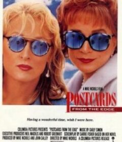 来自边缘的明信片 Postcards from the Edge            (1990)