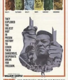 逃狱大暴动 Riot            (1969)