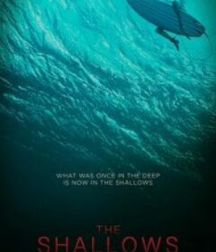 鲨滩 The Shallows            (2016)