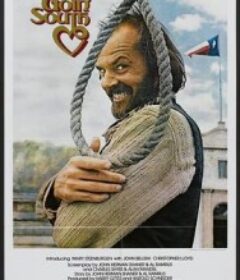 飞越温柔窝 Goin' South            (1978)