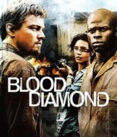 血钻 Blood Diamond            (2006)
