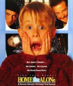 小鬼当家 Home Alone            (1990)