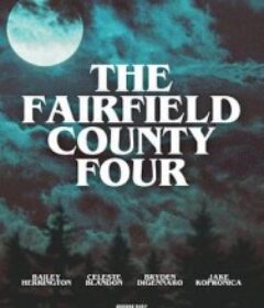 费尔菲尔录像带 The Fairfield County Four            (2025)