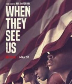 有色眼镜 When They See Us            (2019)