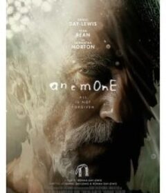 银莲花 Anemone            (2025)