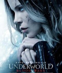 黑夜传说5：血战 Underworld: Blood Wars            (2016)