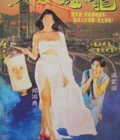人皮灯笼 人皮燈籠            (1993)