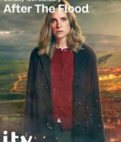 洪水之后 第二季 After The Flood Season 2            (2026)