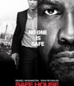 藏身之所 Safe House            (2012)