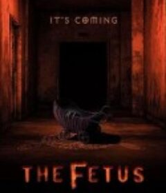 胎儿 The Fetus            (2025)
