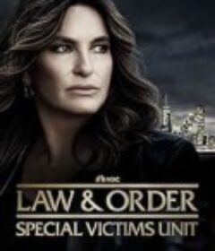 法律与秩序：特殊受害者 第二十七季 Law &amp; Order: Special Victims Unit Season 27            (2025)