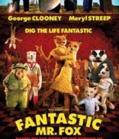 了不起的狐狸爸爸 Fantastic Mr. Fox            (2009)