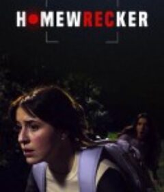 深伪诱惑 Homewrecker            (2025)