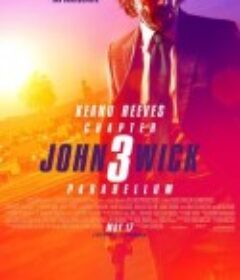 疾速追杀3 John Wick: Chapter 3 - Parabellum            (2019)