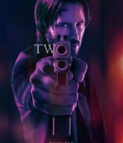 疾速追杀2 John Wick: Chapter 2            (2017)