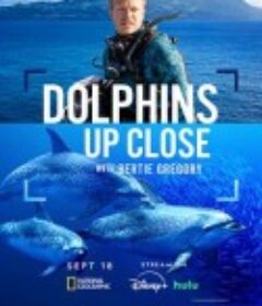 摄影师贝尔蒂与海豚零距离 Dolphins Up Close with Bertie Gregory            (2025)