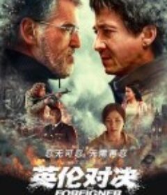 英伦对决 The Foreigner            (2017)