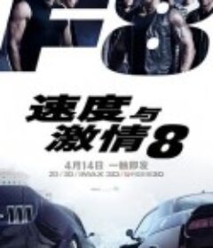 速度与激情8 The Fate of the Furious            (2017)