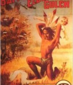 艾德布许峡谷之战 The Battle at Elderbush Gulch            (1913)