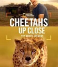 摄影师贝尔蒂与猎豹零距离 Cheetahs Up Close with Bertie Gregory            (2026)