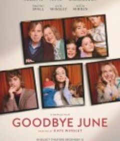 再见琼 Goodbye June            (2025)