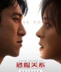 危险关系            (2026)