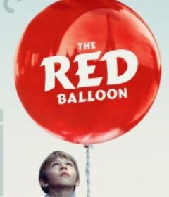 红气球 Le ballon rouge            (1956)