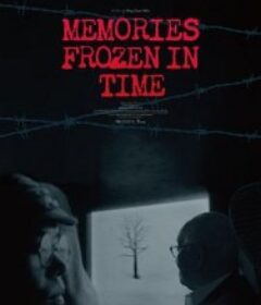 冰封的记忆 冰封的記憶            (2025)