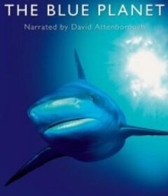 蓝色星球 第一季 The Blue Planet Season 1            (2001)
