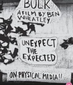 多重宇宙危机 BULK            (2025)