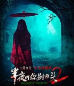 半夜叫你别回头2            (2026)